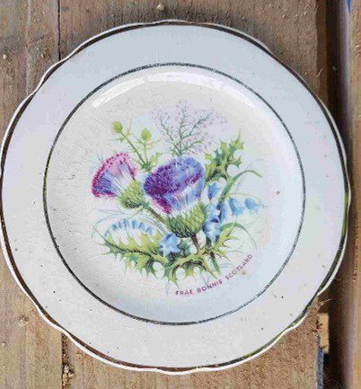 China plate with thistle design