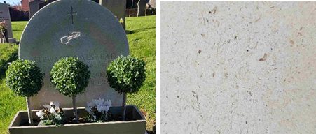 Headstone on the left (with three plants in the forefront), and closeup of the stone's structure on the right