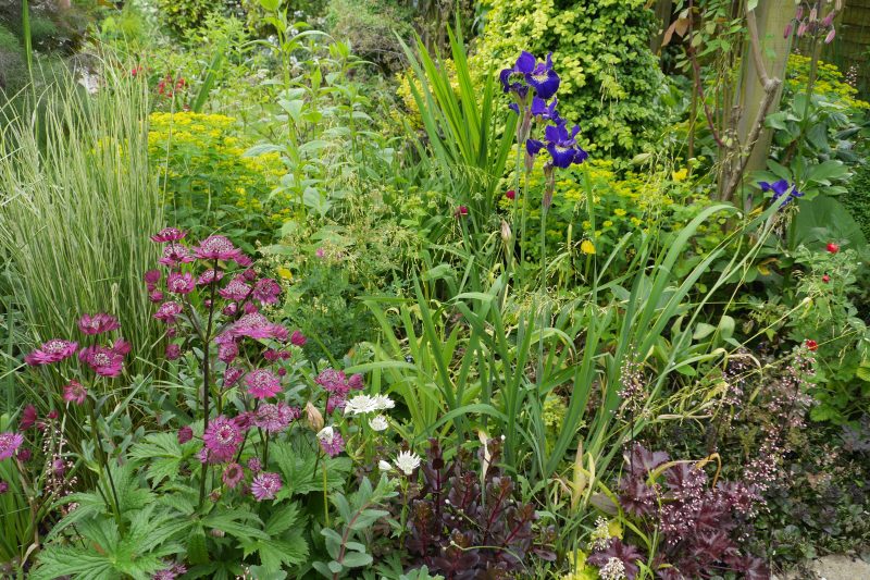 National Garden Scheme 2025