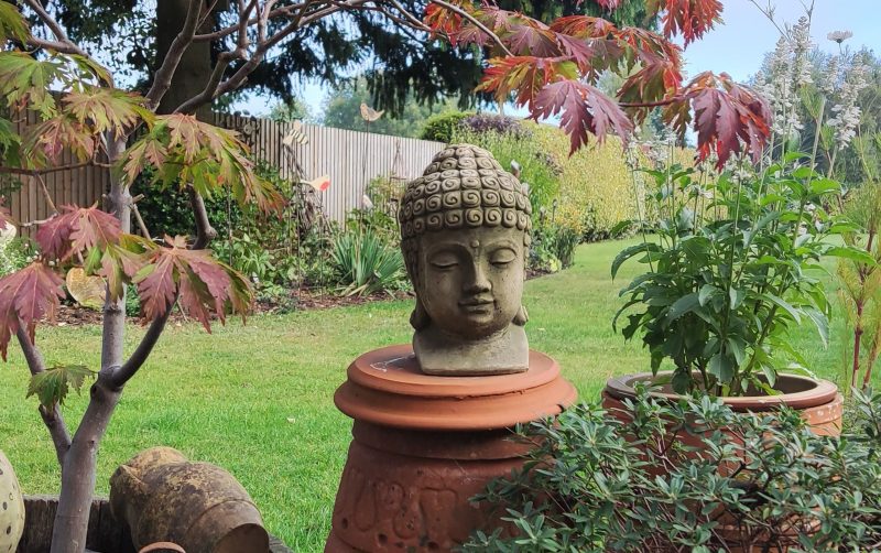 National Garden Scheme 2025