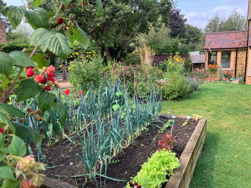 National Garden Scheme 2025