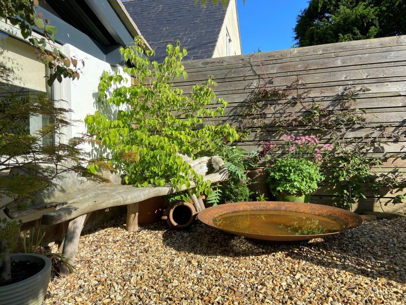 National Garden Scheme 2025