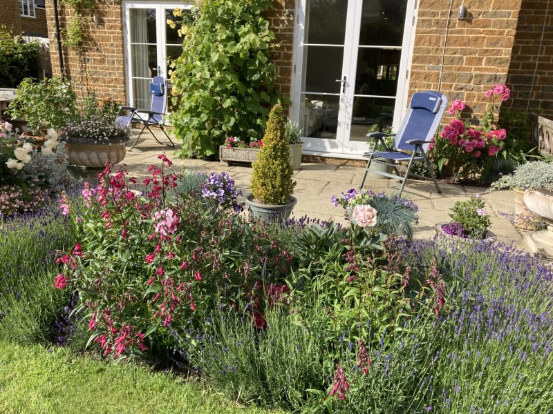 National Garden Scheme 2025