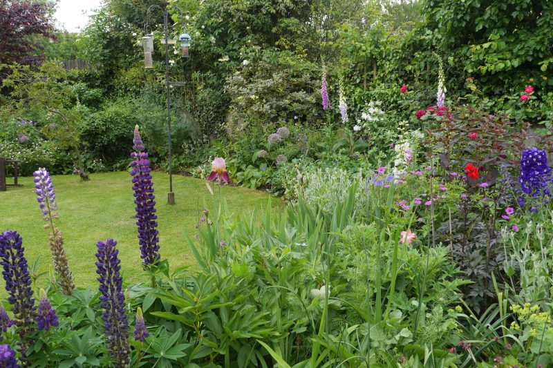 National Garden Scheme 2025