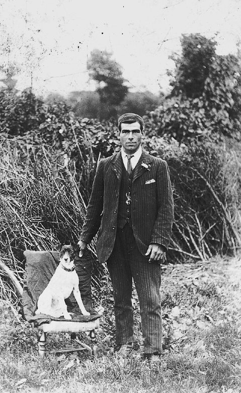 Person and a dog on a chair