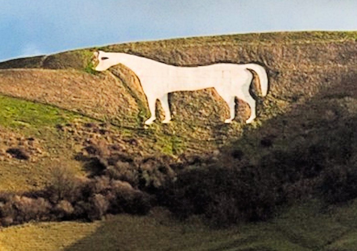 Stylised outline of a horse
