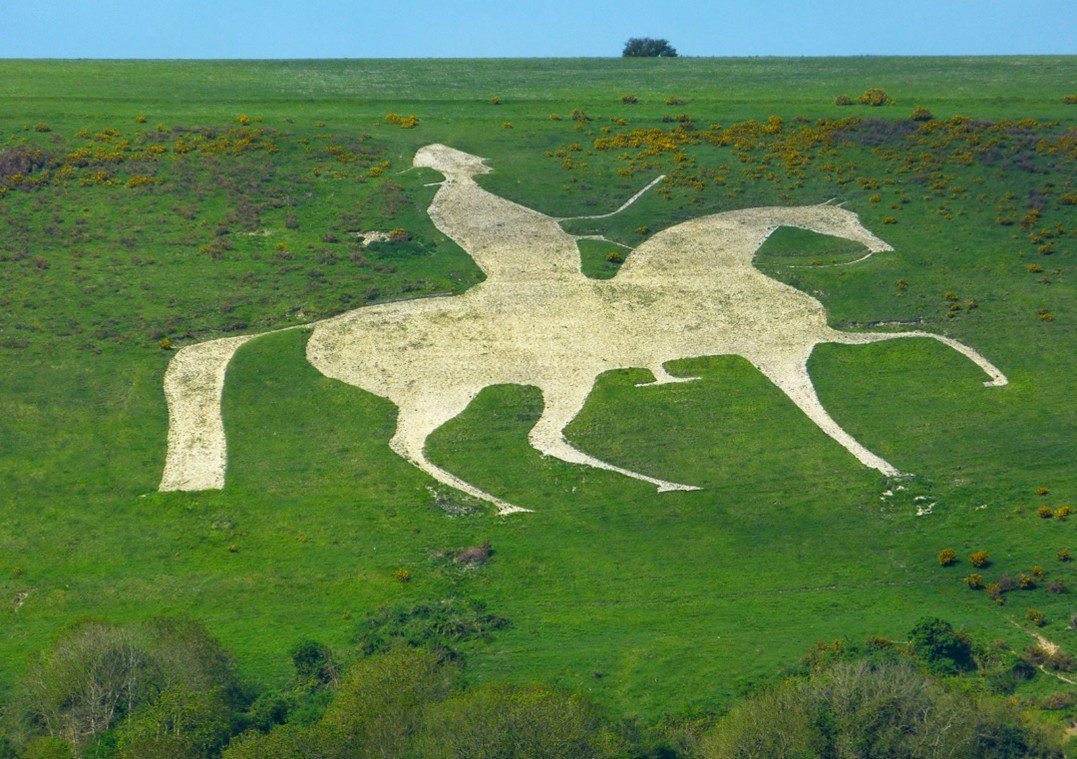 Stylised image of a horse and rider