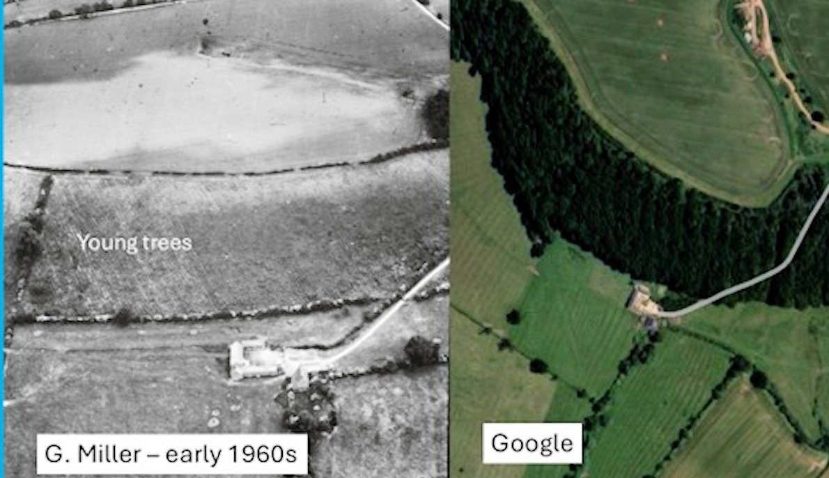 Two comparative views sixty years apart showing tree growth