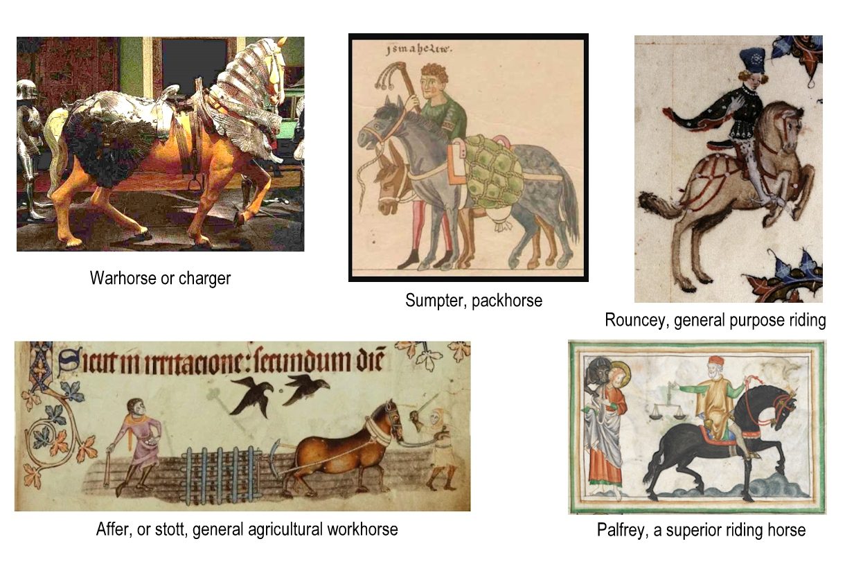 Five illustrations of Medieval horse types