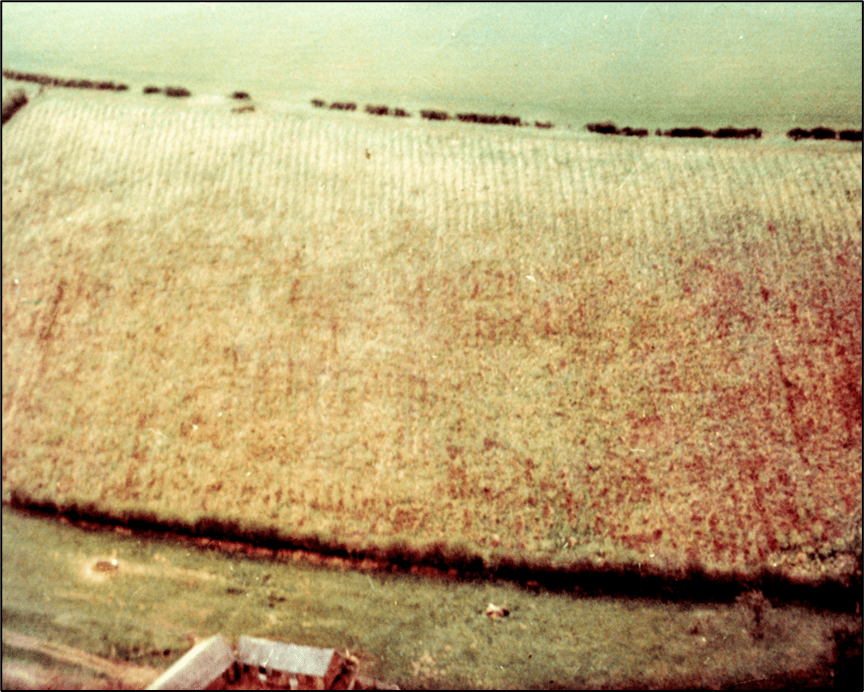 Vegetational differences