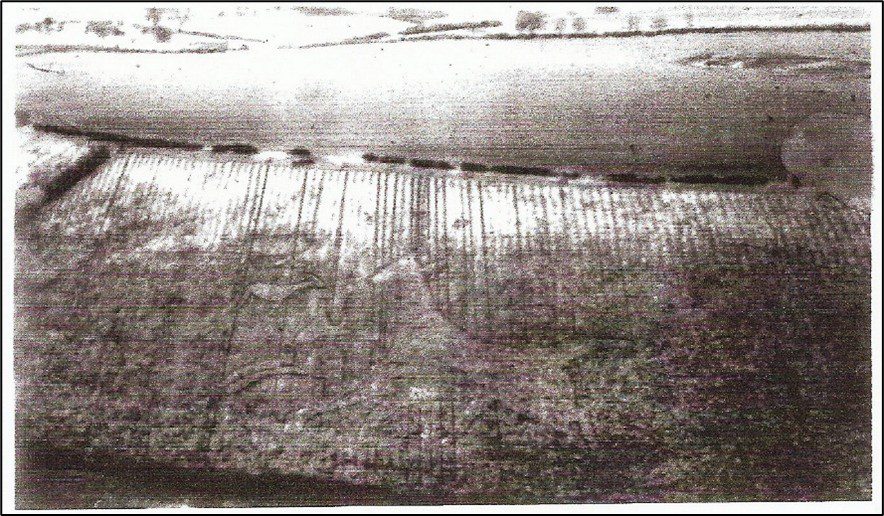 Interpreted outline of horse