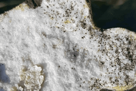 Close-up of the broken statue's consistency