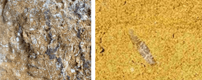 Two closeups of rock samples