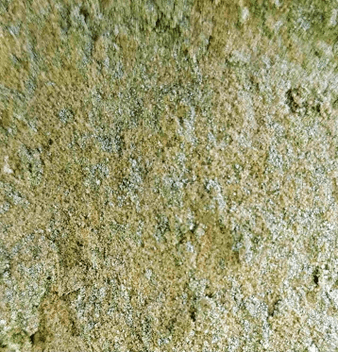 Closeup of stone's structure