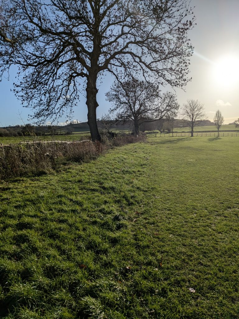 Verge to the North side of Tysoe Football field