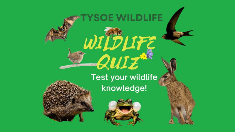 Tysoe Wildlife Quiz