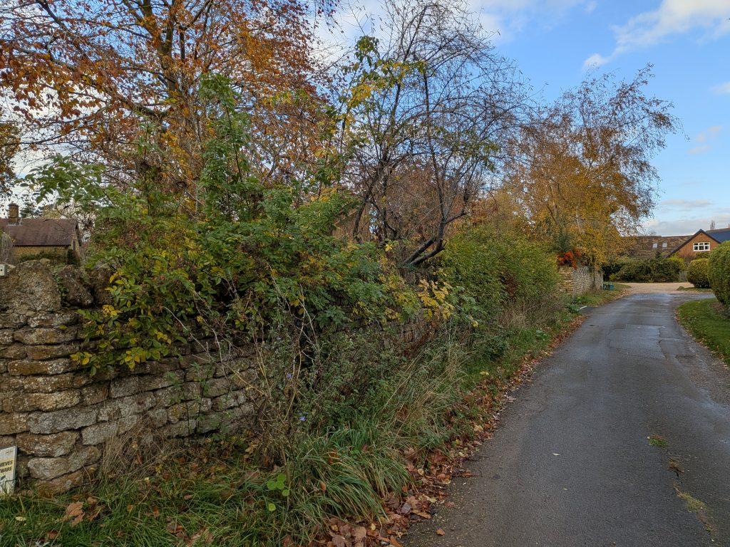 Verge by Dinsdale Cottage
