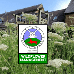 Tysoe Parish Council Wildflower management