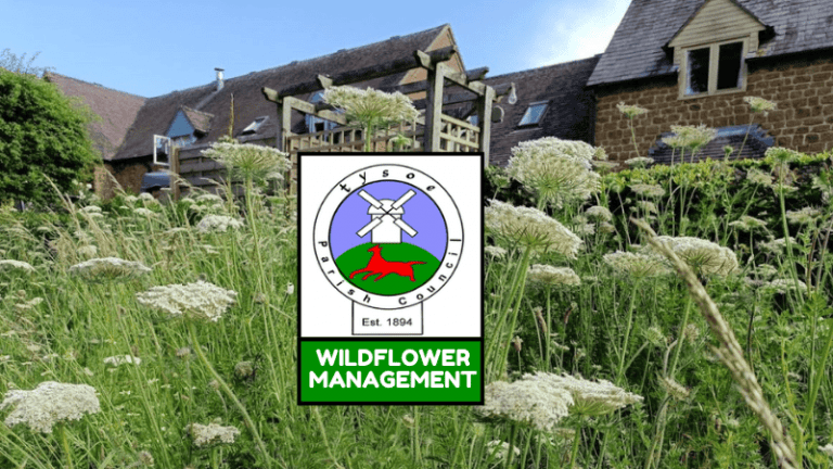 Tysoe Parish Council Wildflower management