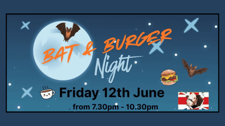 Bat Night