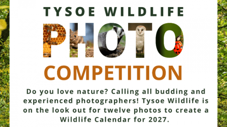 Tysoe Wildlife Competition