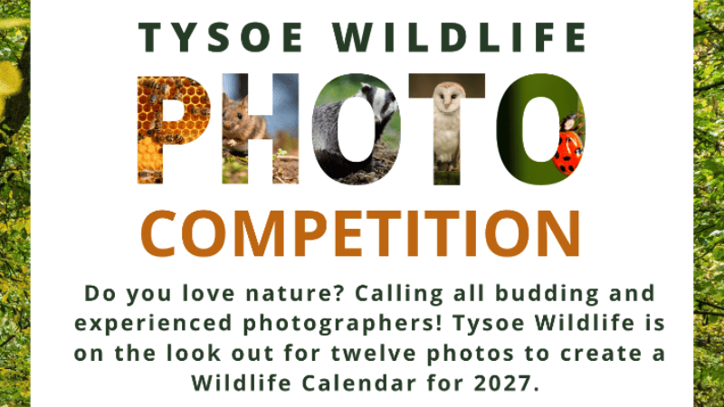Tysoe Wildlife Photo Competition