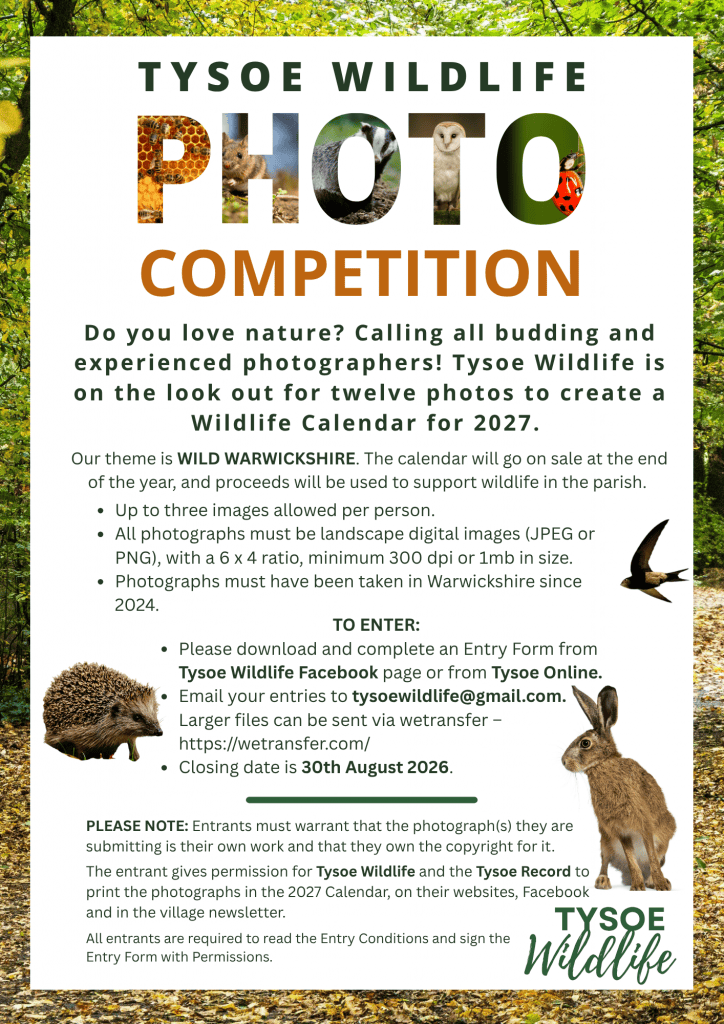 Tysoe Wildlife Photo Competition