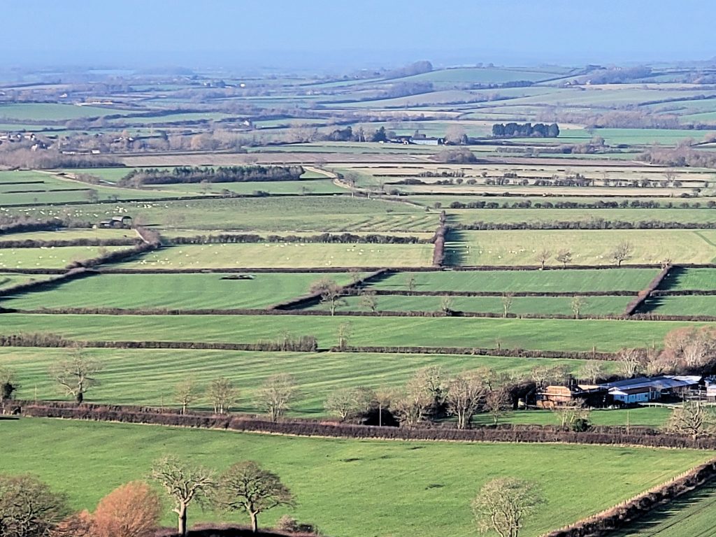Aerial view of countryside